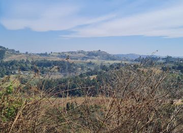 south-africa/kwazulu-natal/restaurant/croctilians-restaurant