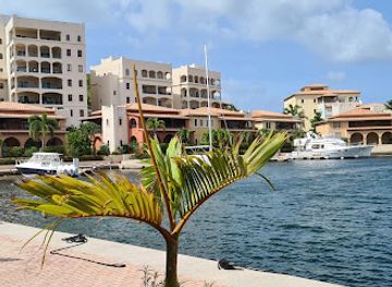 sint-maarten/guana-bay/restaurant/big-cees-water-front-dining
