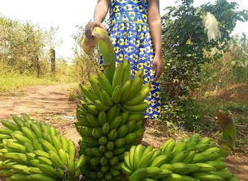 uganda/sebei/restaurant/hajat-salimah-restaurant