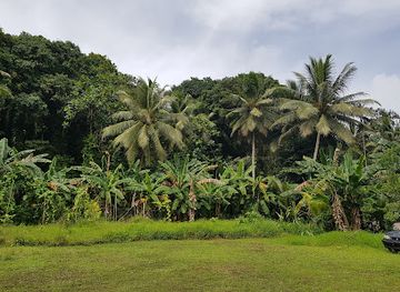 micronesia/outer-islands-of-pohnpei/restaurant/pohnpei