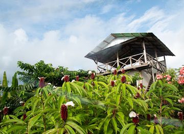 costa-rica/corcovado-national-park/restaurant/hotel-restaurante-bella-vista-corcovado