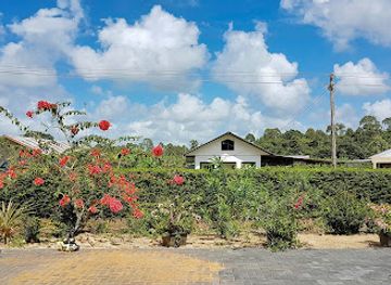 suriname/coronie-district/restaurant/warung-chrisje