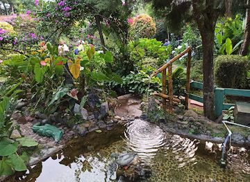 el-salvador/los-chorros-de-la-calera/restaurant/entre-nubes