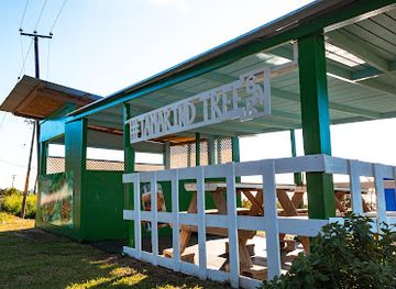 saint-kitts-and-nevis/old-road-town/restaurant/tamarind-tree-bar
