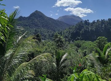 dominica/layou-river/restaurant/riverstone-bar-grill