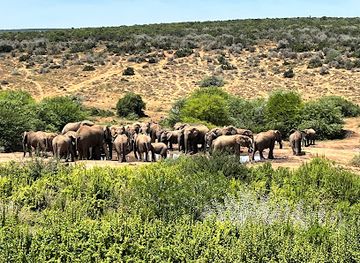 south-africa/addo-elephant-national-park/restaurant/addo-cattle-baron-grill-bistro