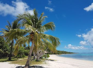 marshall-islands/majuro-atoll/restaurant/alliang