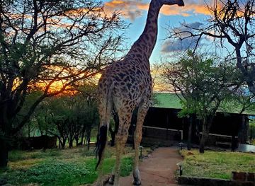 tanzania/ngorongoro-highlands/restaurant/ngorongoro-wild-camp