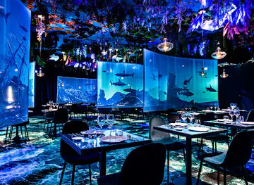 Under the sea - Ephemera