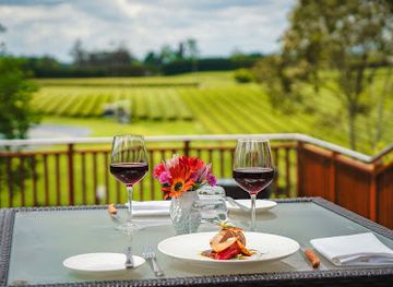 new-zealand/waikato/restaurant/camellia-restaurant-at-zealong-tea-estate