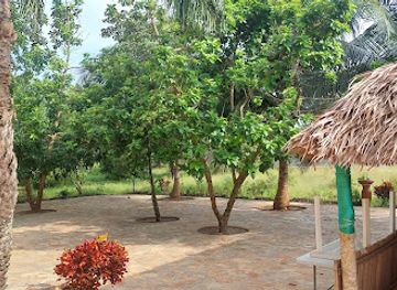 benin/ouidah-beach/restaurant/bar-restaurant-wadou-ouidah