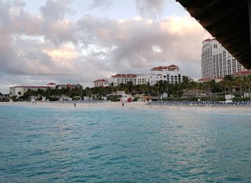 the-bahamas/berry-islands/restaurant/the-swimming-pig-gastropub