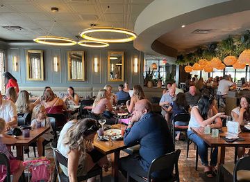 florida/tampa/restaurant/timpano-hyde-park