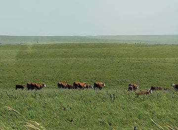 kansas/tallgrass-prairie-national-preserve/restaurant/flint-hills-national-scenic-byway