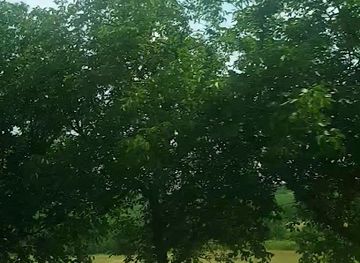 azerbaijan/shamakhi/restaurant/la-mkan