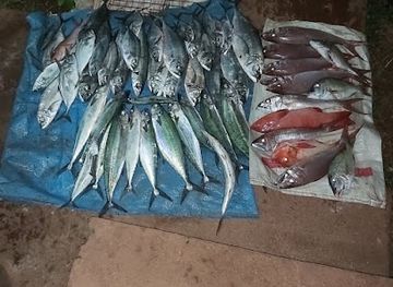 fiji/rakiraki/restaurant/scuba-fishing-and-homestay-joji-alisi-s-place