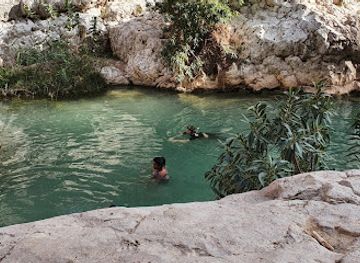 oman/wadi-shab/restaurant/assayil-mazeera-al-huty-restaurant