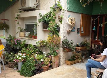 israel/galilee-region/restaurant/shula-mashtula