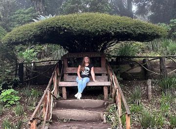 el-salvador/cerro-verde-national-park/restaurant/cerro-verde