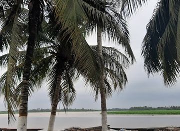 cote-d-ivoire/grand-bassam/restaurant/au-bord-a-la-cour-des-grands