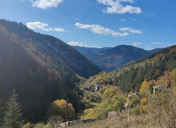 bulgaria/northwest-bulgaria/restaurant/silivryak