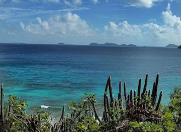 british-virgin-islands/great-camanoe/restaurant/one-shoe-beach-bar-grill