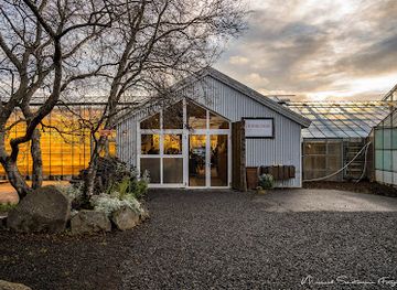 iceland/north-iceland/restaurant/frioheimar