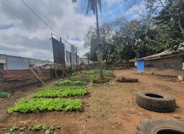 malawi/shire-highlands/restaurant/china-da-restaurant-and-lodge