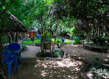 malawi/mangochi/restaurant/the-green-cafe