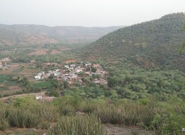 india/ranthambore/restaurant/saini-restaurant