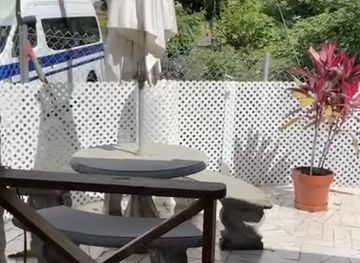 trinidad-and-tobago/scarborough/restaurant/3-seasons-bistro