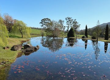 australia/cradle-mountain-lake-st-clair-national-park/restaurant/villarett-gardens