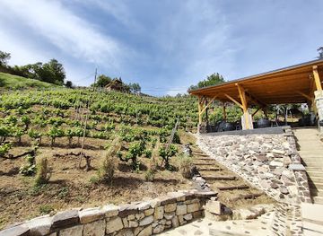 hungary/tokaj-wine-region/restaurant/ungvari-s-bistro