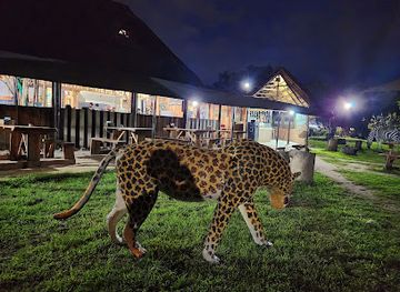 zimbabwe/eastern-highlands/restaurant/cultures-resort-traditional-african-restaurant