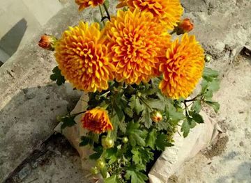 kuwait/mangaf/restaurant/spice-island