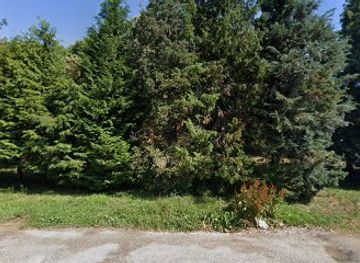 hungary/keszthely/restaurant/bor-es-egeszseg-bt-etterem