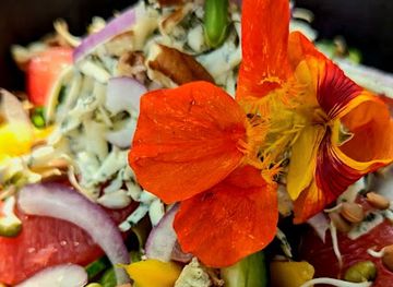 south-africa/lowveld/restaurant/the-black-chilli-eatery