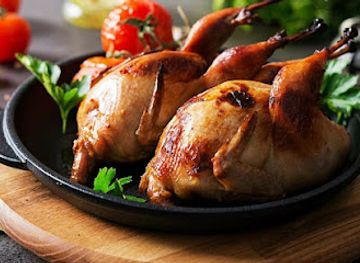 india/odisha/restaurant/wildlife-restaurant