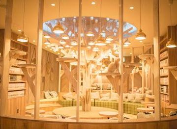 japan/kawachi/restaurant/cat-cafe-mocha-mocha-osaka-shinsaibashi