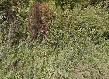 bhutan/trashigang/restaurant/foodies-restaurant