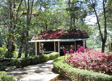 nicaragua/matagalpa-highlands/restaurant/selva-negra