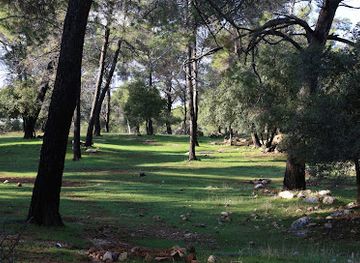 jordan/dibeen-forest/restaurant/dibbeen-forest-reserve