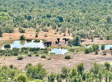 zimbabwe/chimanimani-national-park/restaurant/makuwa-kuwa-restaurant