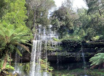 australia/mount-field-national-park/restaurant/mount-field-national-park