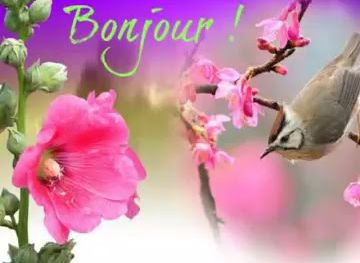 haiti/les-cayes/restaurant/rood-myr-tam-restaurant