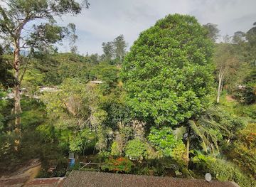 sri-lanka/uva-province/restaurant/the-green-door