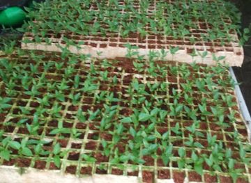 uganda/sebei/restaurant/barside-restaurant