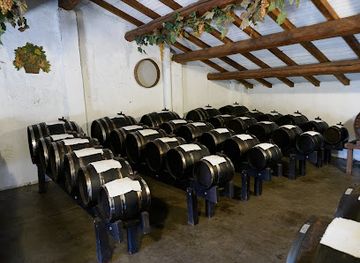 italy/emilia-romagna/restaurant/yummy-italy