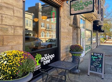 indiana/elkhart/restaurant/the-moringa-tree-organic-kitchen-wellness-studio