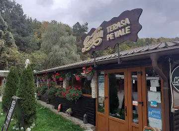 Restaurant Terasa Pe Vale